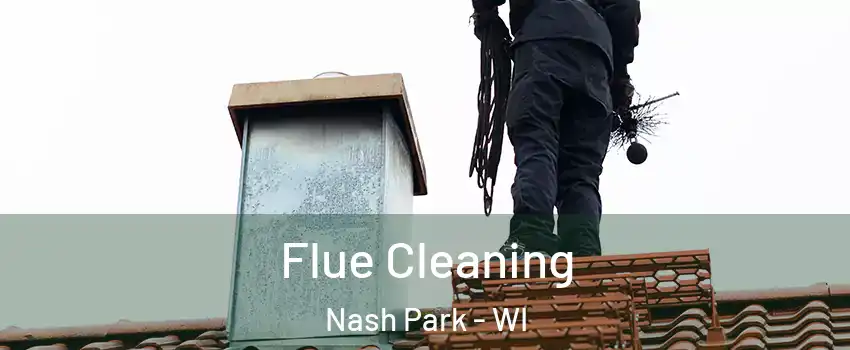 Flue Cleaning Nash Park - WI