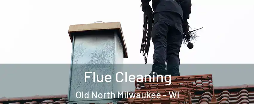 Flue Cleaning Old North Milwaukee - WI