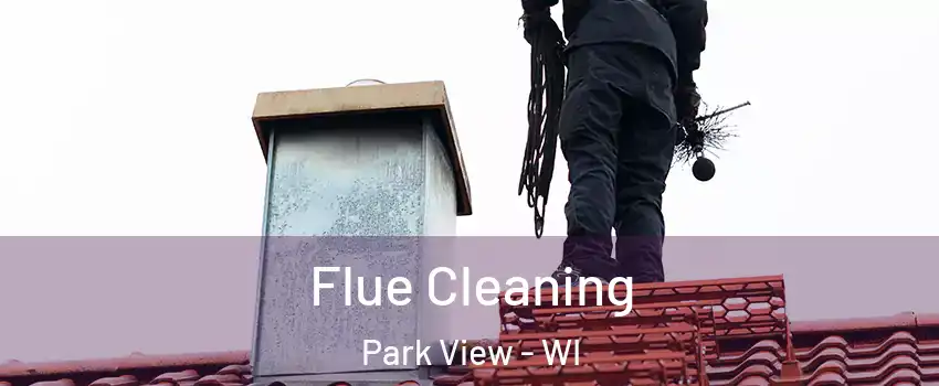 Flue Cleaning Park View - WI