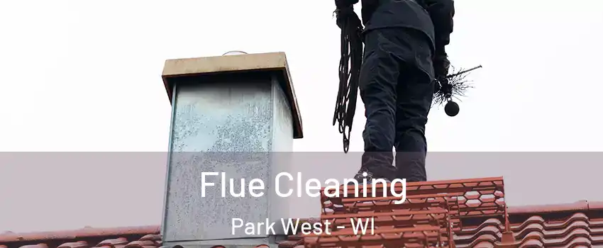 Flue Cleaning Park West - WI