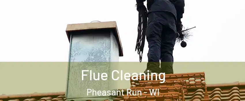 Flue Cleaning Pheasant Run - WI