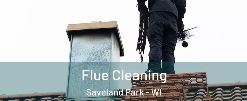 Flue Cleaning Saveland Park - WI