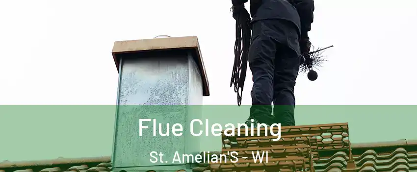 Flue Cleaning St. Amelian'S - WI