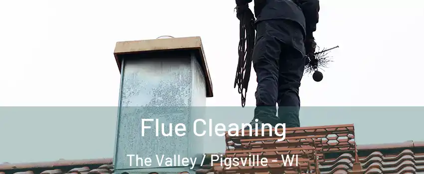 Flue Cleaning The Valley / Pigsville - WI