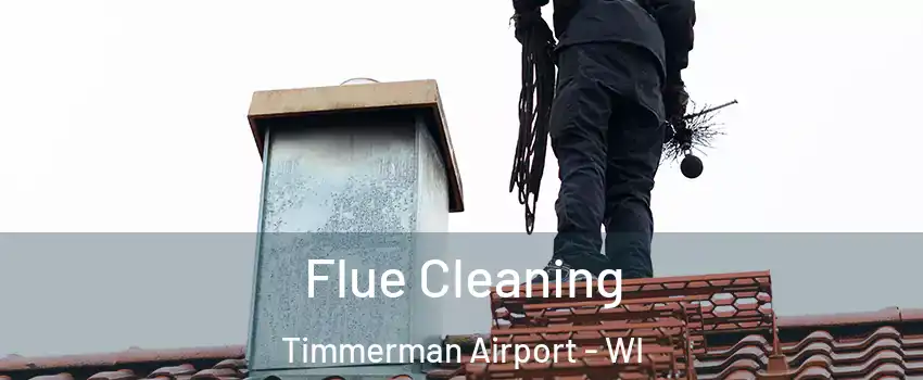 Flue Cleaning Timmerman Airport - WI