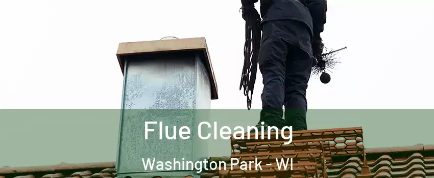 Flue Cleaning Washington Park - WI