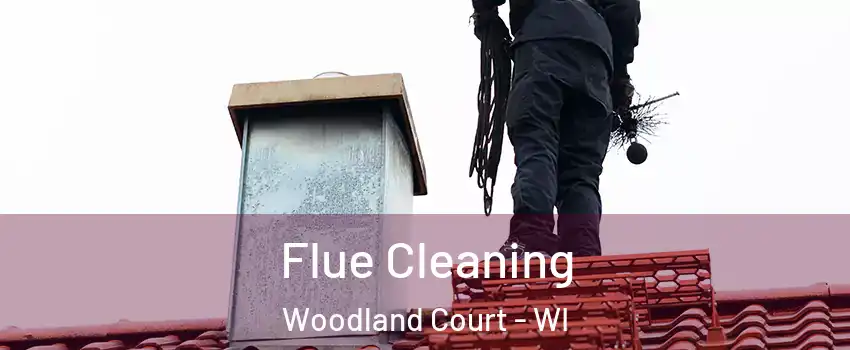 Flue Cleaning Woodland Court - WI