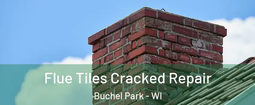 Flue Tiles Cracked Repair Buchel Park - WI