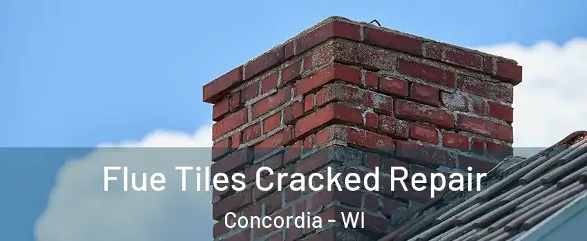 Flue Tiles Cracked Repair Concordia - WI