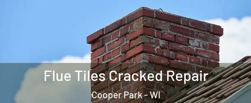 Flue Tiles Cracked Repair Cooper Park - WI