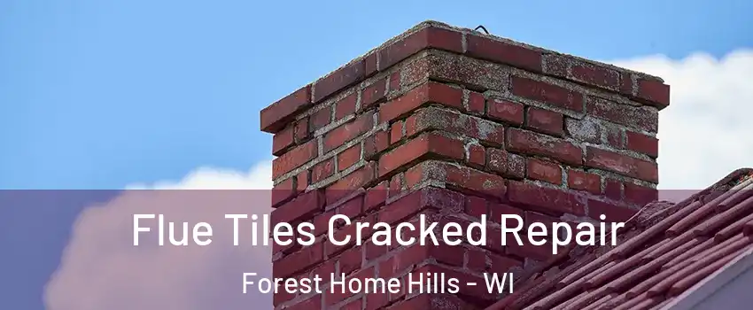 Flue Tiles Cracked Repair Forest Home Hills - WI