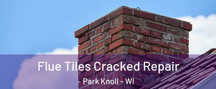 Flue Tiles Cracked Repair Park Knoll - WI