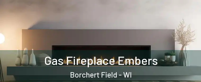 Gas Fireplace Embers Borchert Field - WI