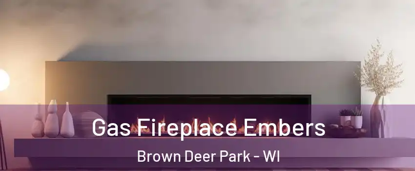 Gas Fireplace Embers Brown Deer Park - WI