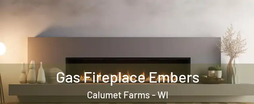 Gas Fireplace Embers Calumet Farms - WI