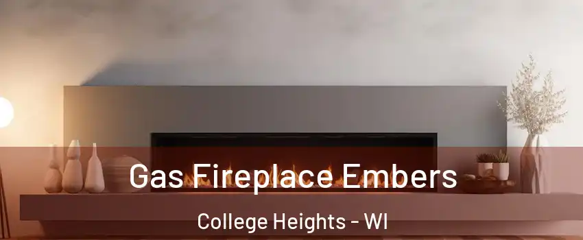 Gas Fireplace Embers College Heights - WI