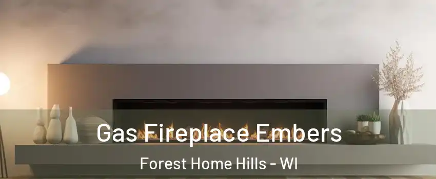 Gas Fireplace Embers Forest Home Hills - WI