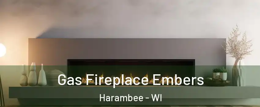 Gas Fireplace Embers Harambee - WI