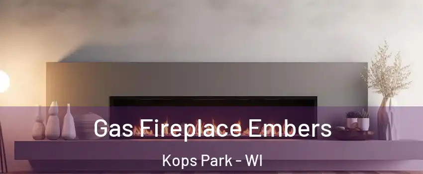 Gas Fireplace Embers Kops Park - WI