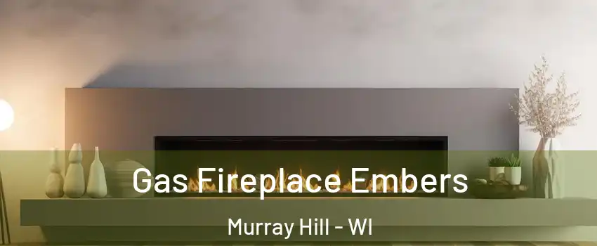 Gas Fireplace Embers Murray Hill - WI