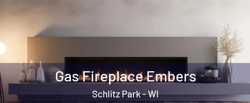 Gas Fireplace Embers Schlitz Park - WI