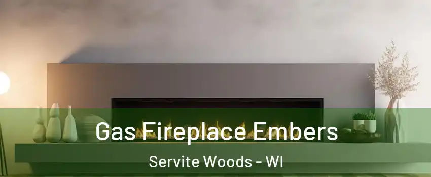 Gas Fireplace Embers Servite Woods - WI