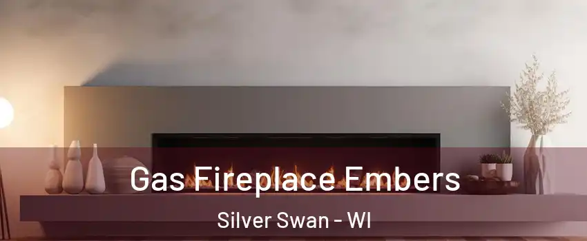 Gas Fireplace Embers Silver Swan - WI