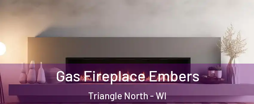 Gas Fireplace Embers Triangle North - WI