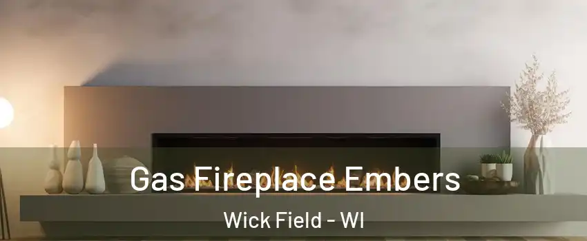 Gas Fireplace Embers Wick Field - WI