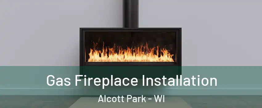 Gas Fireplace Installation Alcott Park - WI