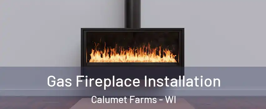 Gas Fireplace Installation Calumet Farms - WI