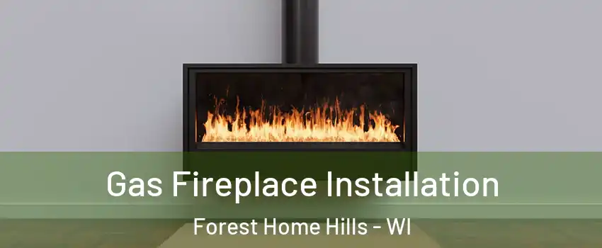 Gas Fireplace Installation Forest Home Hills - WI