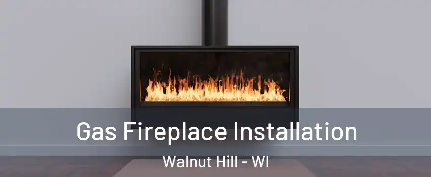 Gas Fireplace Installation Walnut Hill - WI