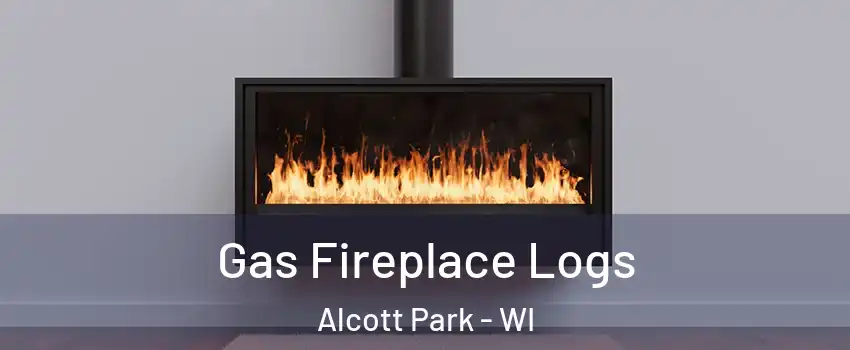 Gas Fireplace Logs Alcott Park - WI