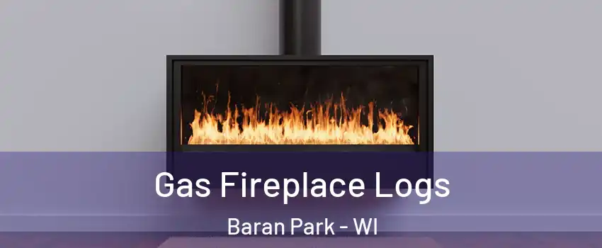 Gas Fireplace Logs Baran Park - WI