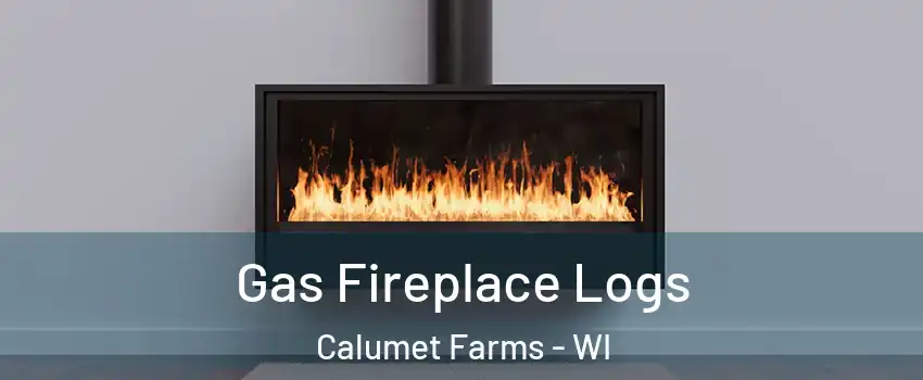 Gas Fireplace Logs Calumet Farms - WI