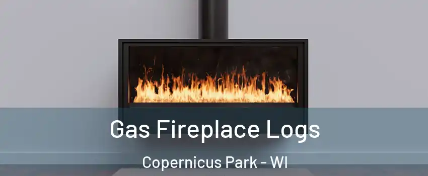 Gas Fireplace Logs Copernicus Park - WI