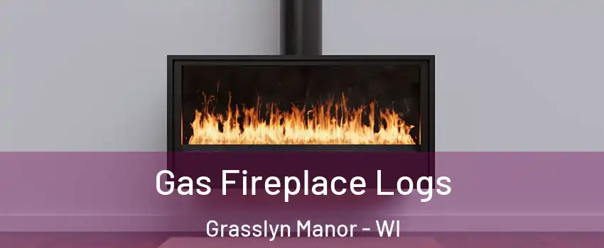 Gas Fireplace Logs Grasslyn Manor - WI