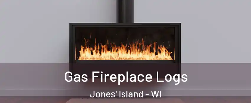 Gas Fireplace Logs Jones' Island - WI