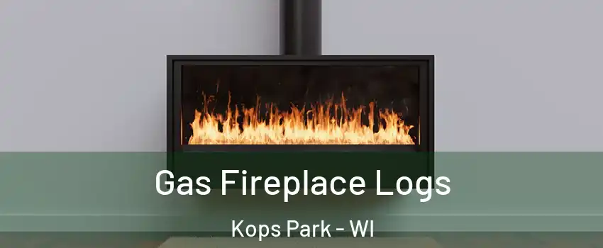 Gas Fireplace Logs Kops Park - WI