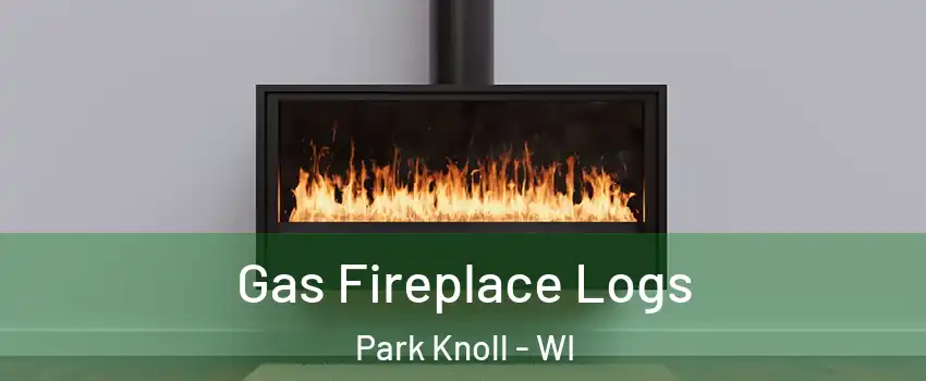 Gas Fireplace Logs Park Knoll - WI