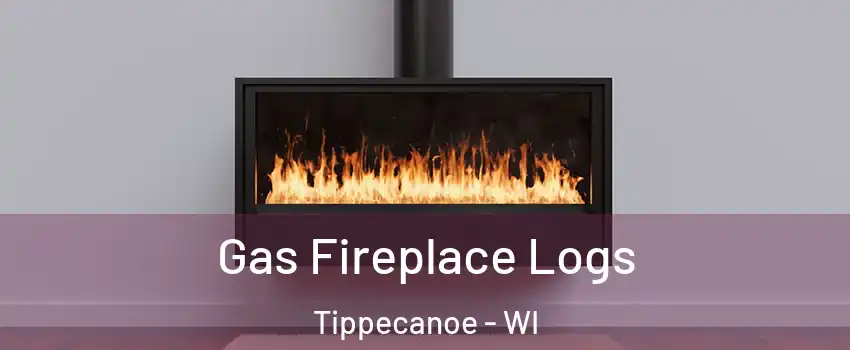 Gas Fireplace Logs Tippecanoe - WI