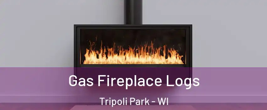 Gas Fireplace Logs Tripoli Park - WI