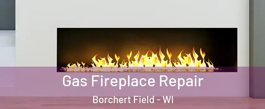 Gas Fireplace Repair Borchert Field - WI