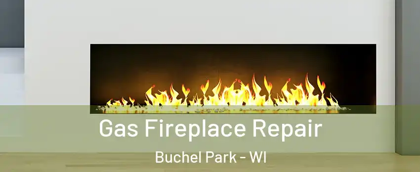 Gas Fireplace Repair Buchel Park - WI