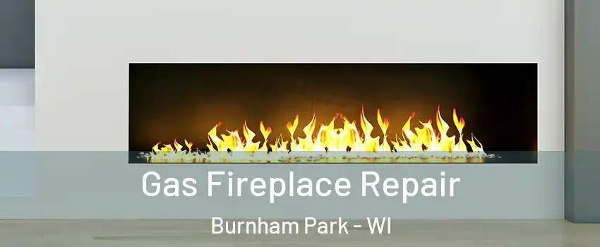 Gas Fireplace Repair Burnham Park - WI