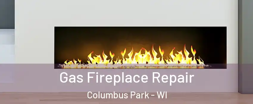 Gas Fireplace Repair Columbus Park - WI