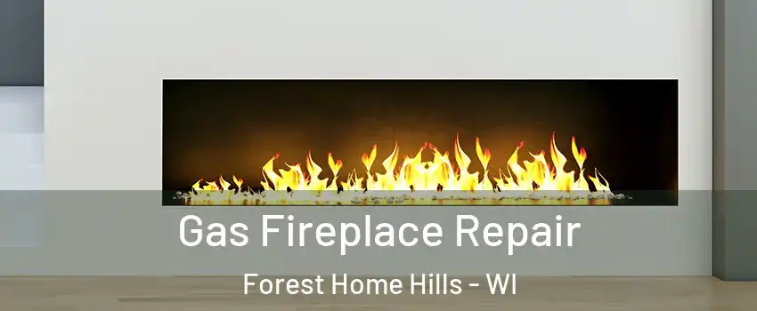 Gas Fireplace Repair Forest Home Hills - WI