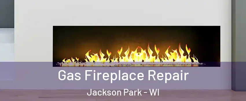 Gas Fireplace Repair Jackson Park - WI