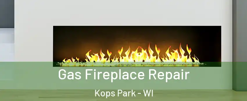 Gas Fireplace Repair Kops Park - WI